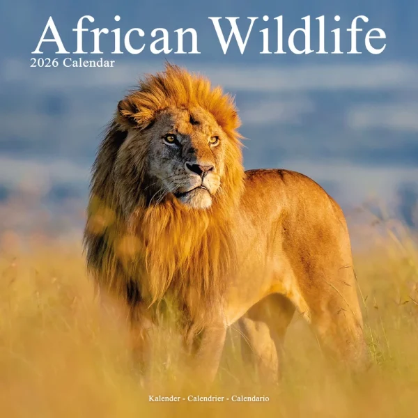 Kalender 26 African Wildlife as