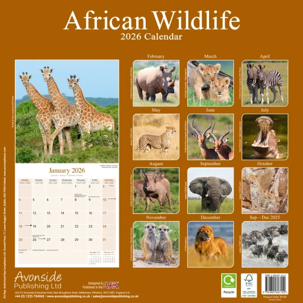 Kalender 26 African Wildlife as – Bild 2