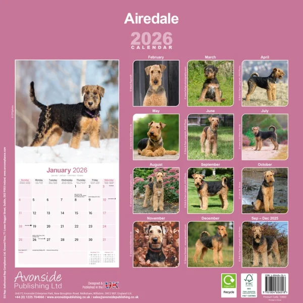 Kalender 26 Airedale Terriers as - Image 2