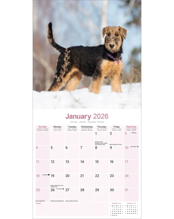 Kalender 26 Airedale Terriers as - Image 3