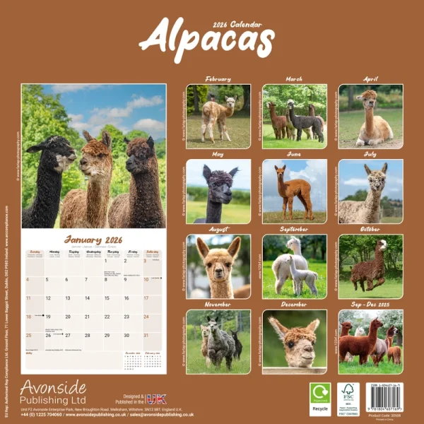 Kalender 26 Alpacas as – Bild 2