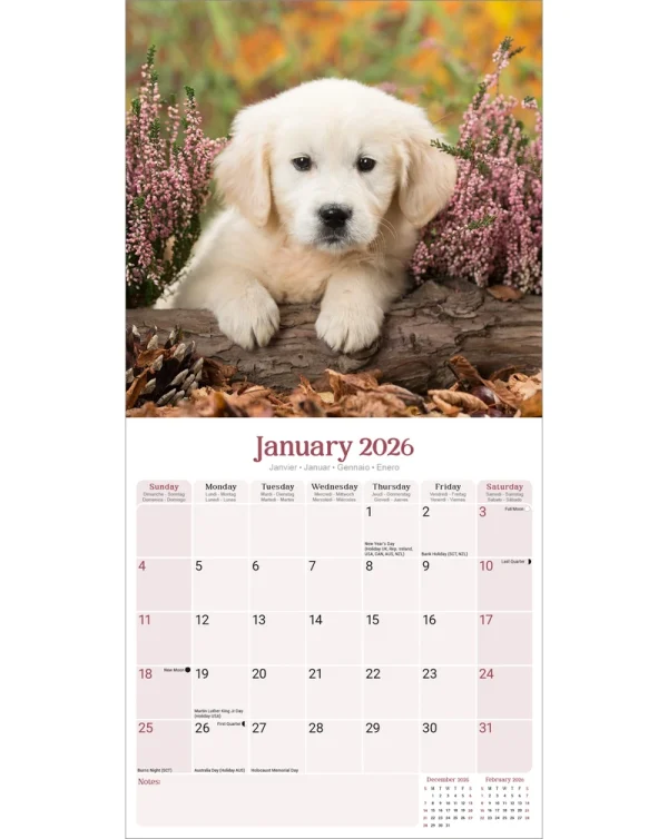 Kalender 26 Baby Animals as – Bild 3