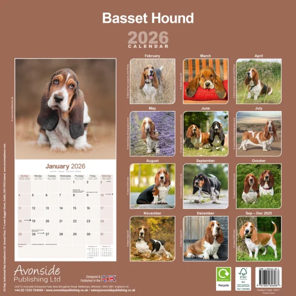 Kalender 26 Basset Hounds as – Bild 2