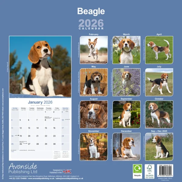 Kalender 26 Beagles as – Bild 2