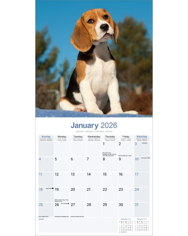 Kalender 26 Beagles as – Bild 3