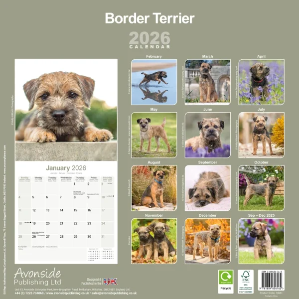 Kalender 26 Border Terriers as - Image 2