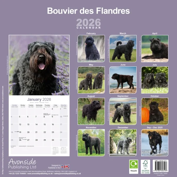 Kalender 26 Bouvier des Flandres as - Image 2