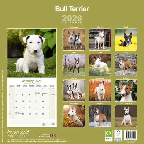 Kalender 26 Bull Terriers as – Bild 2