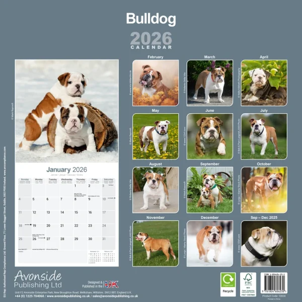 Kalender 26 Bulldogs as – Bild 2