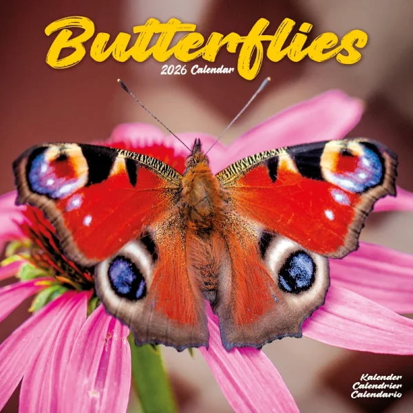 Kalender 26 Butterflies as