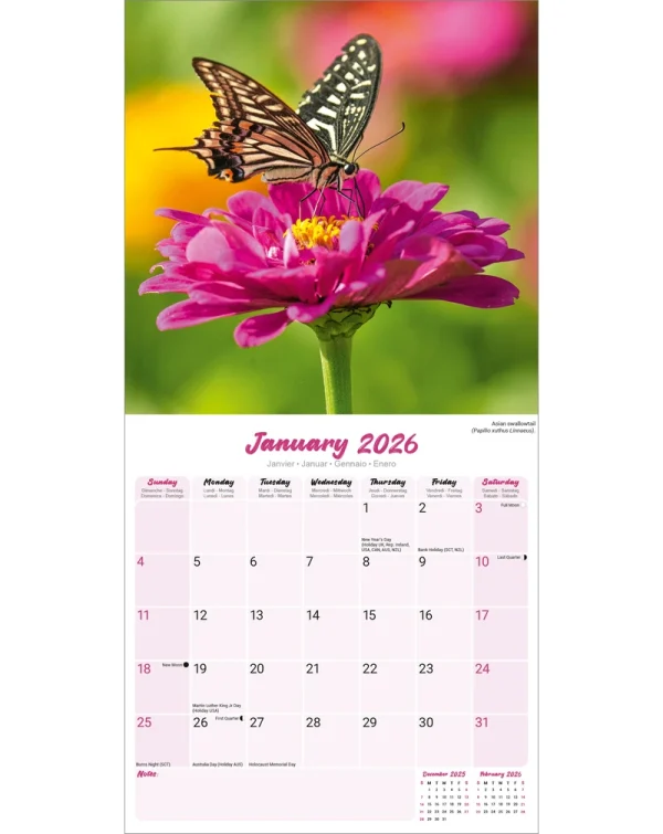 Kalender 26 Butterflies as - Image 3