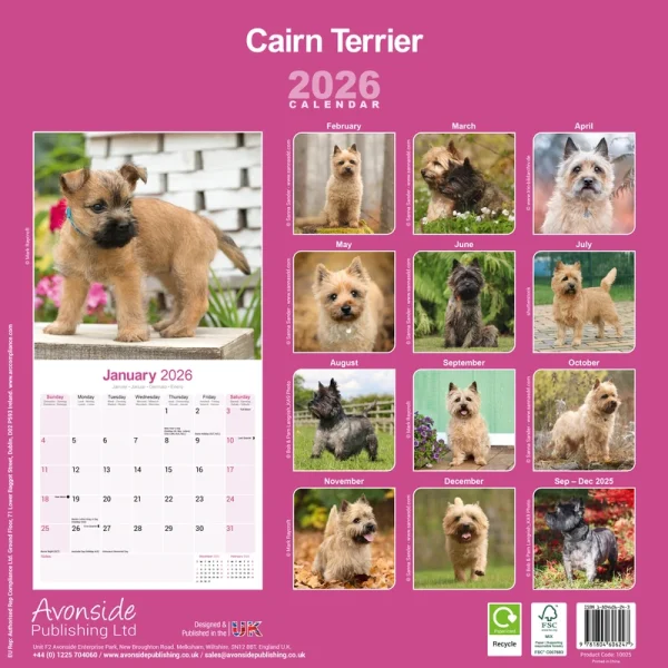 Kalender 26 Cairn Terriers as - Image 2