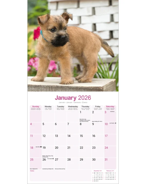 Kalender 26 Cairn Terriers as - Image 3