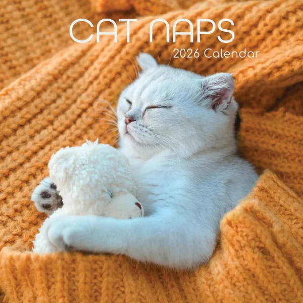 Kalender 26 Cat Naps gtd