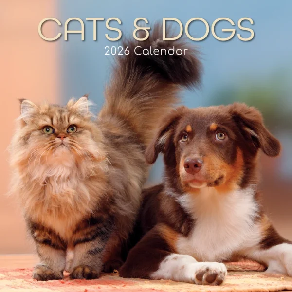 Kalender 26 Cats & Dogs gtd