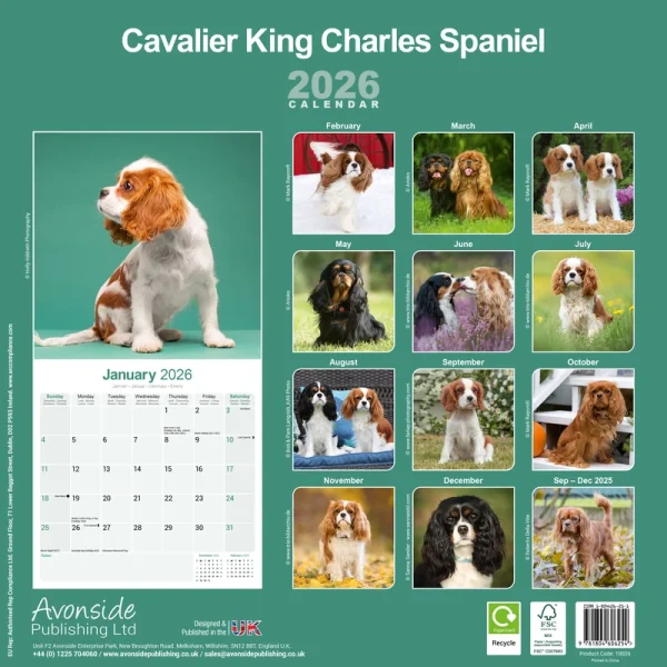 Kalender 26 Cavalier KC as – Bild 2