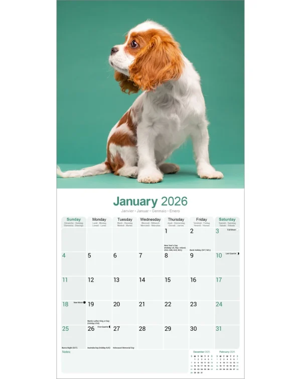 Kalender 26 Cavalier KC as – Bild 3