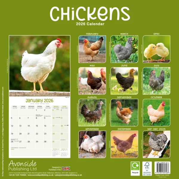 Kalender 26 Chickens as – Bild 2