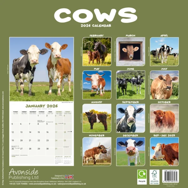 Kalender 26 Cows as - Image 2