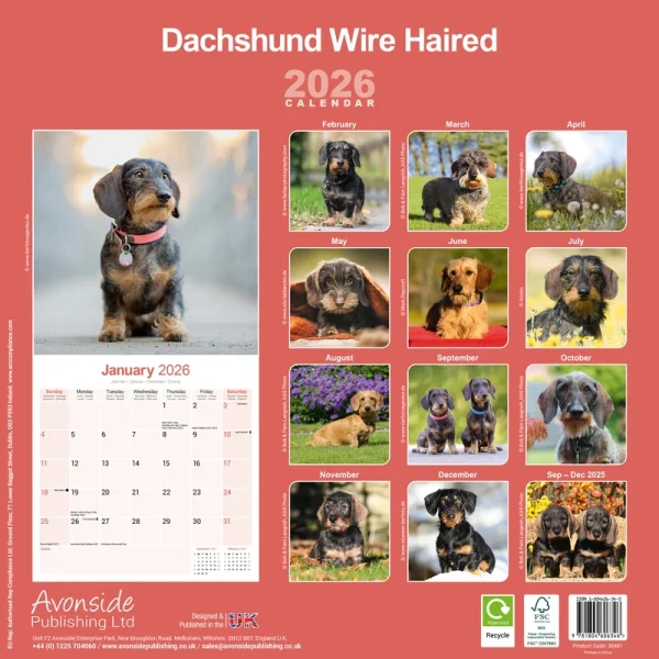 Kalender 26 Dachshunds Wire as – Bild 2