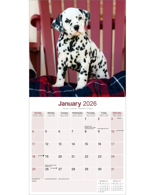 Kalender 26 Dalmatians as – Bild 3