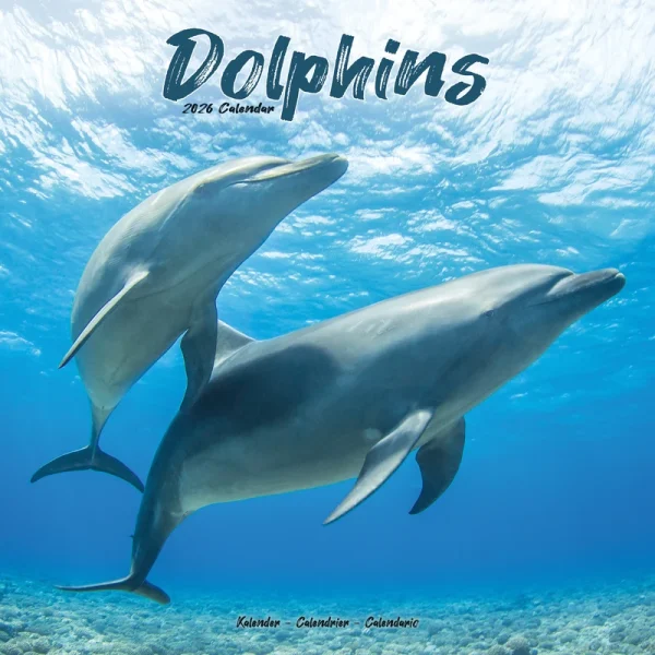 Kalender 26 Dolphins as