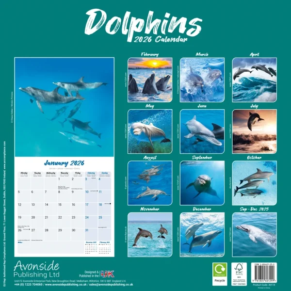 Kalender 26 Dolphins as – Bild 2