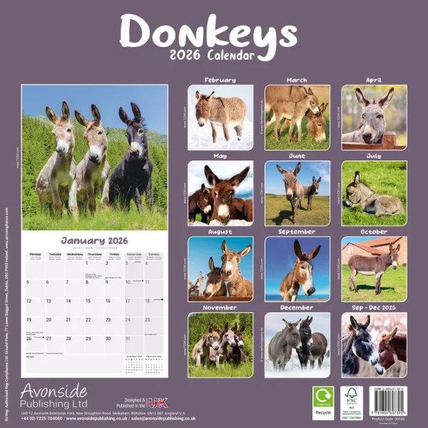 Kalender 26 Donkeys as - Image 2