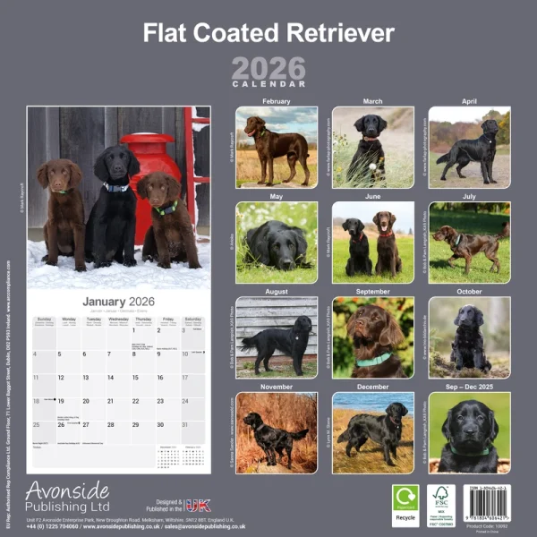 Kalender 26 Flat Coated Retr. as – Bild 2