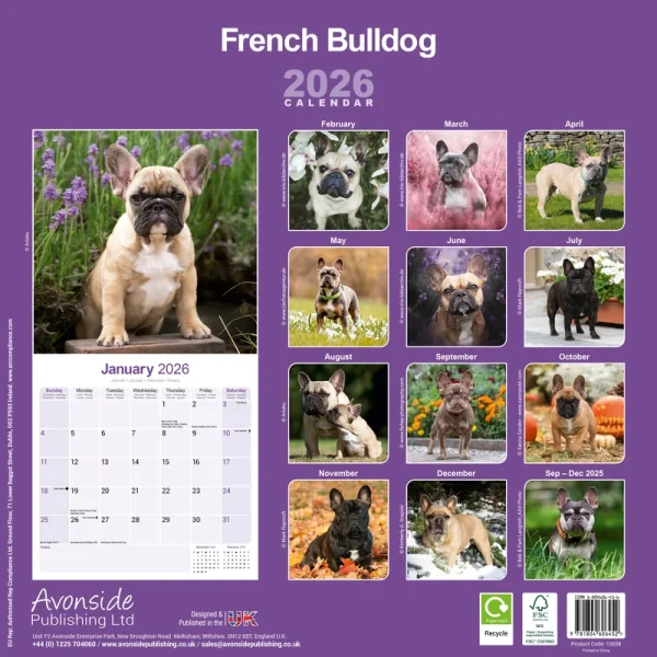 Kalender 26 French Bulldogs as - Image 2