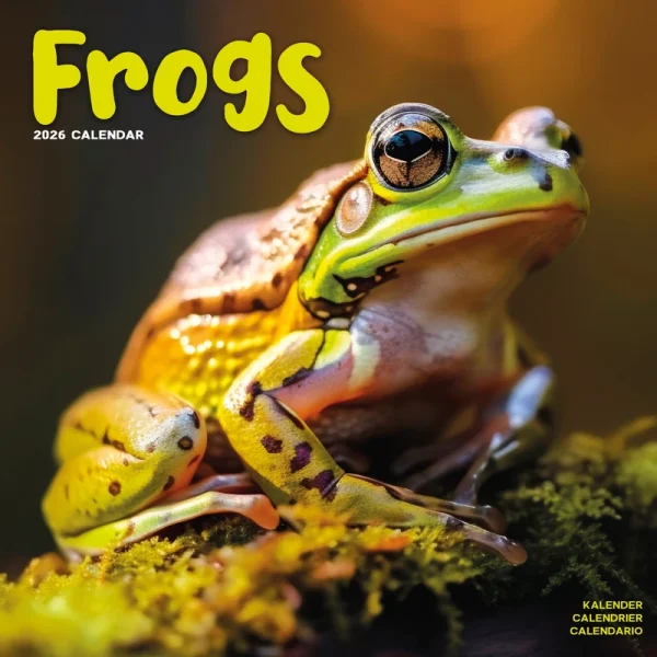 Kalender 26 Frogs as