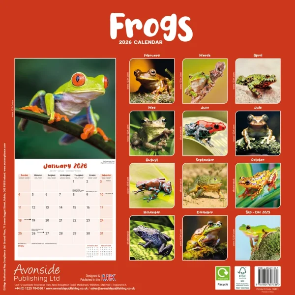 Kalender 26 Frogs as – Bild 2