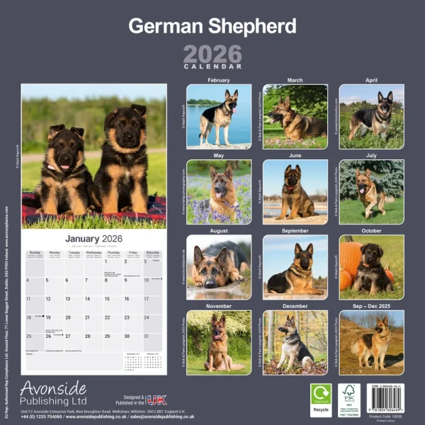 Kalender 26 German Shepherds as - Image 2