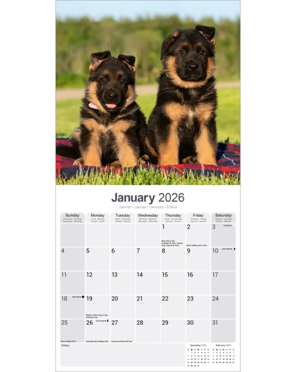 Kalender 26 German Shepherds as - Image 3