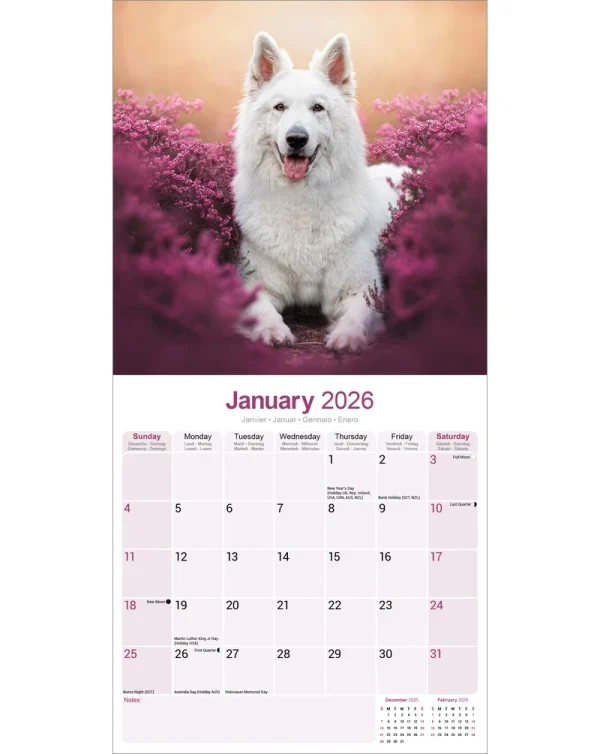 Kalender 26 German Shepherds White as – Bild 3