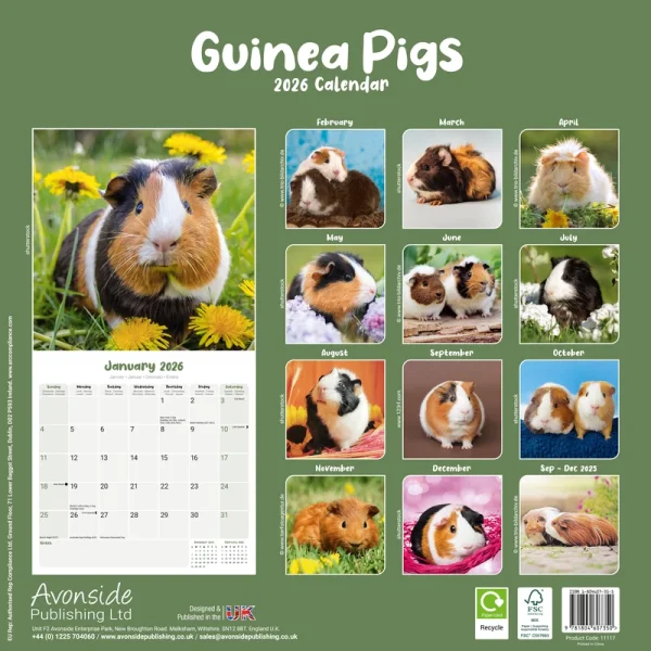 Kalender 26 Guinea Pigs as – Bild 2