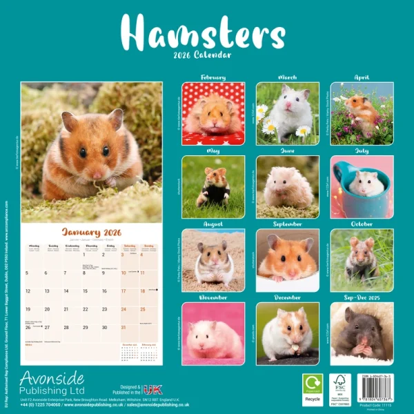 Kalender 26 Hamsters as - Image 2