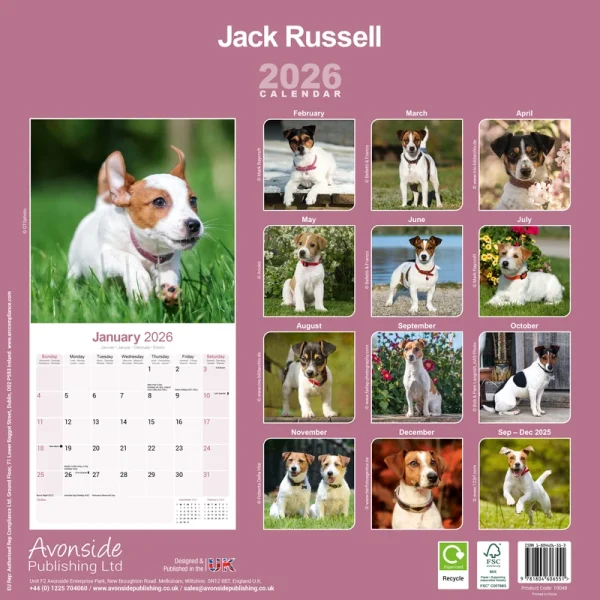 Kalender 26 Jack Russell Int as – Bild 2