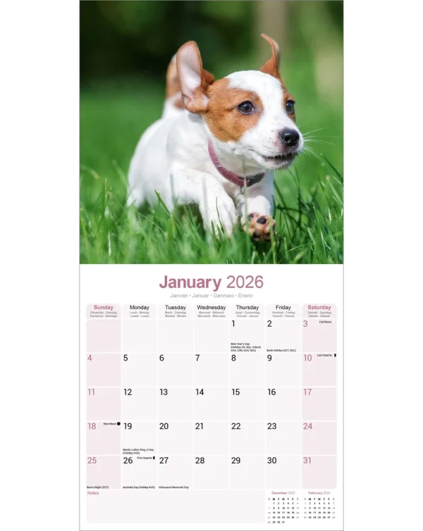 Kalender 26 Jack Russell Int as – Bild 3