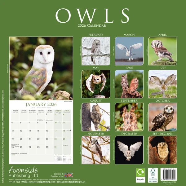 Kalender 26 Owls as – Bild 2