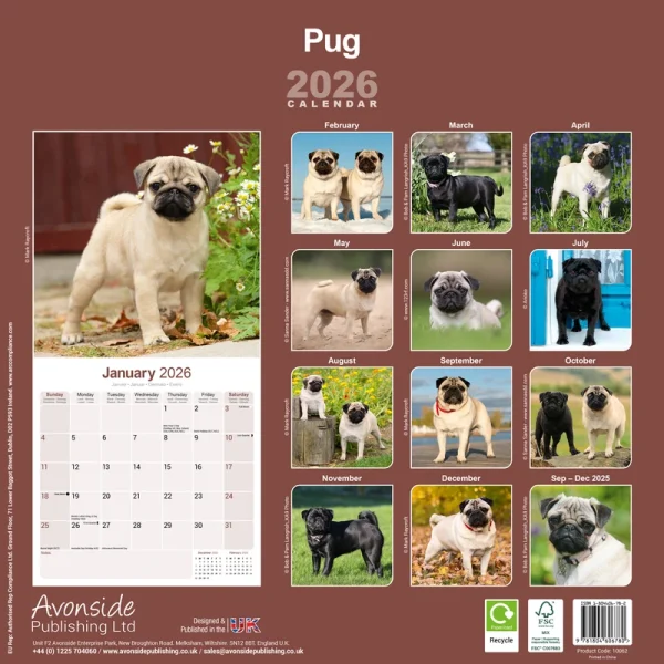 Kalender 26 Pugs as – Bild 2