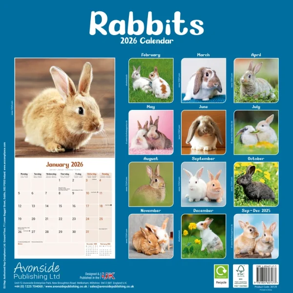 Kalender 26 Rabbits as - Image 2