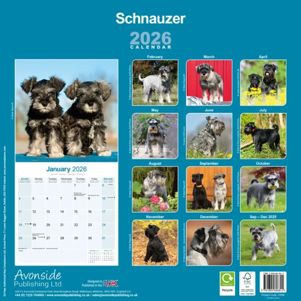 Kalender 26 Schnauzers Int as – Bild 2