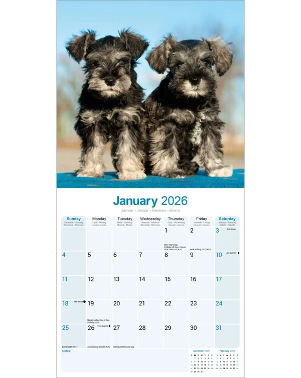 Kalender 26 Schnauzers Int as – Bild 3