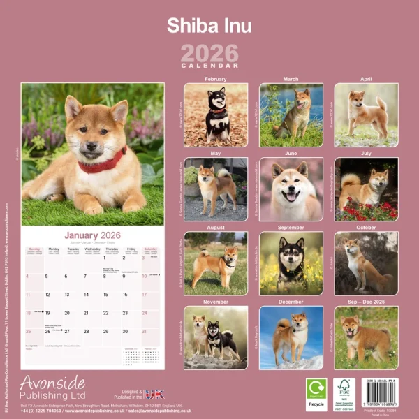 Kalender 26 Shiba Inu as – Bild 2