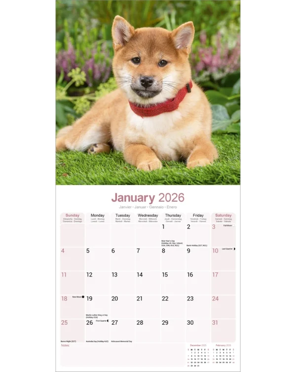 Kalender 26 Shiba Inu as – Bild 3