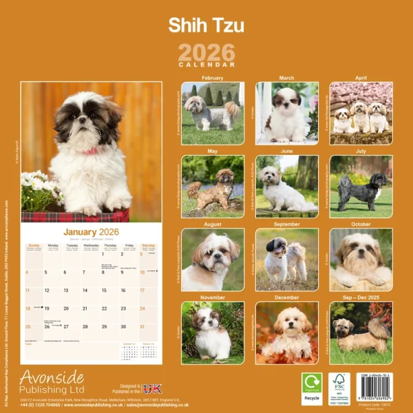 Kalender 26 Shih Tzu as - Image 2