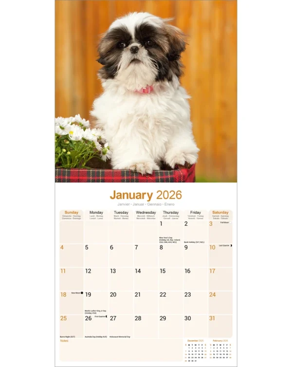 Kalender 26 Shih Tzu as - Image 3