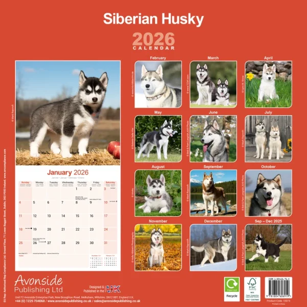 Kalender 26 Siberian Huskies as - Image 2