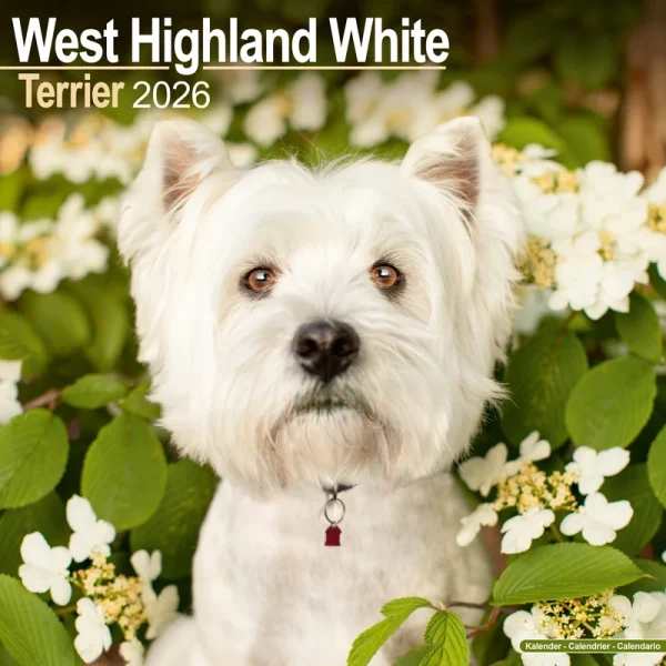 Kalender 26 West HW Terriers as